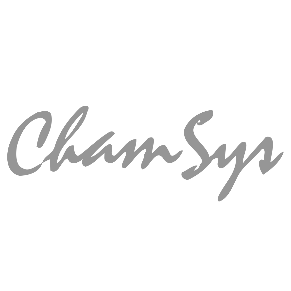 Chamsys logo