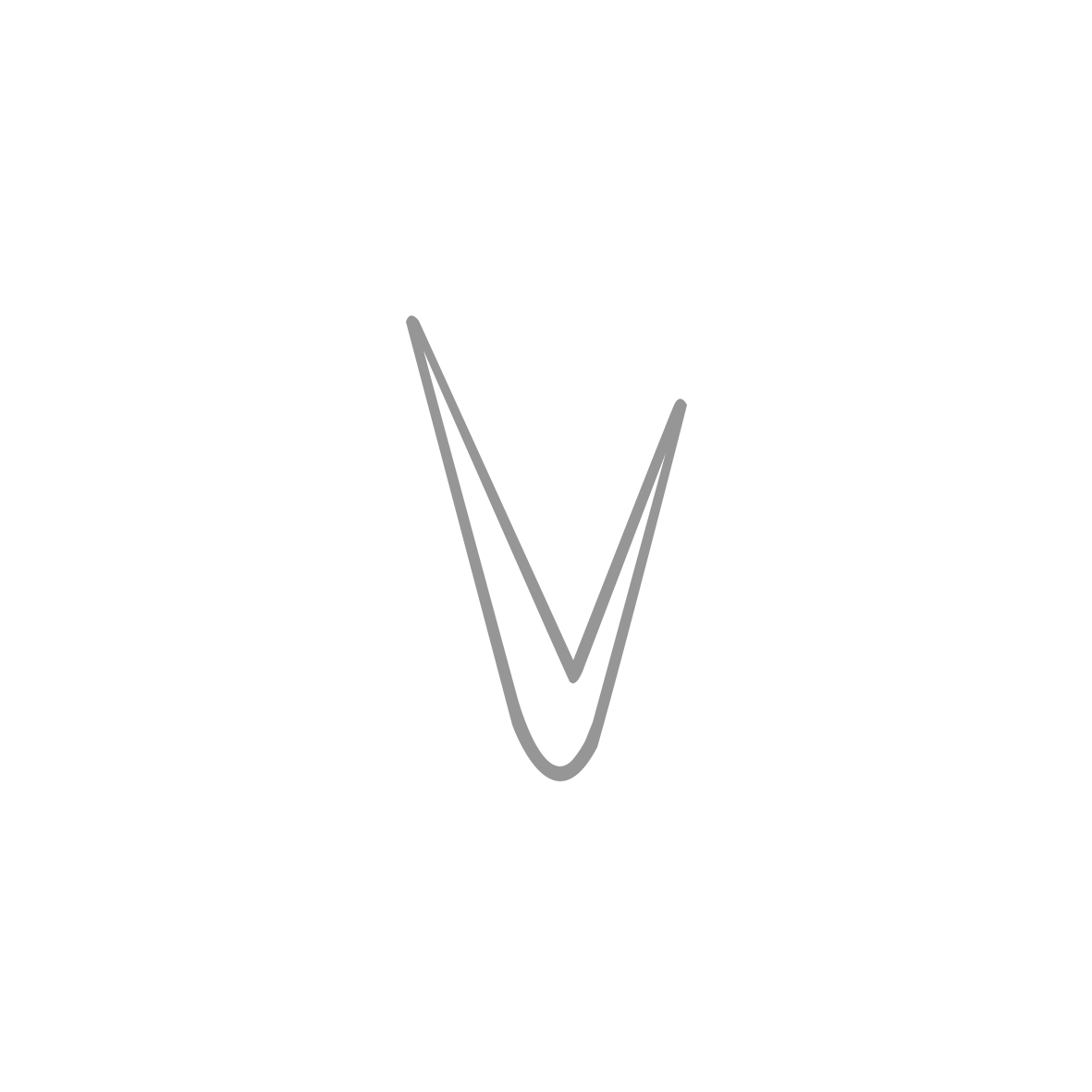 Vision Digi logo